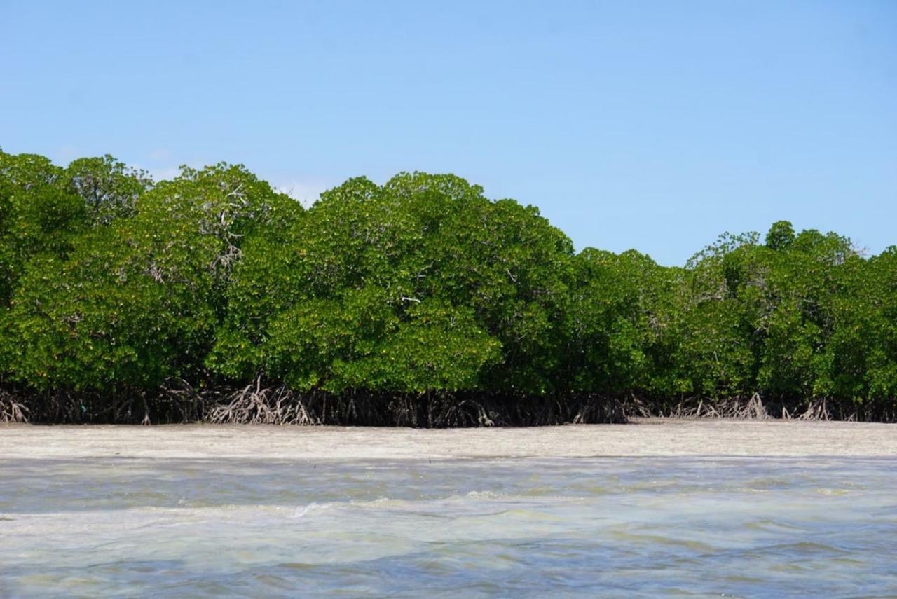 Mida Creek Nature Camp Watamu Exteriér fotografie