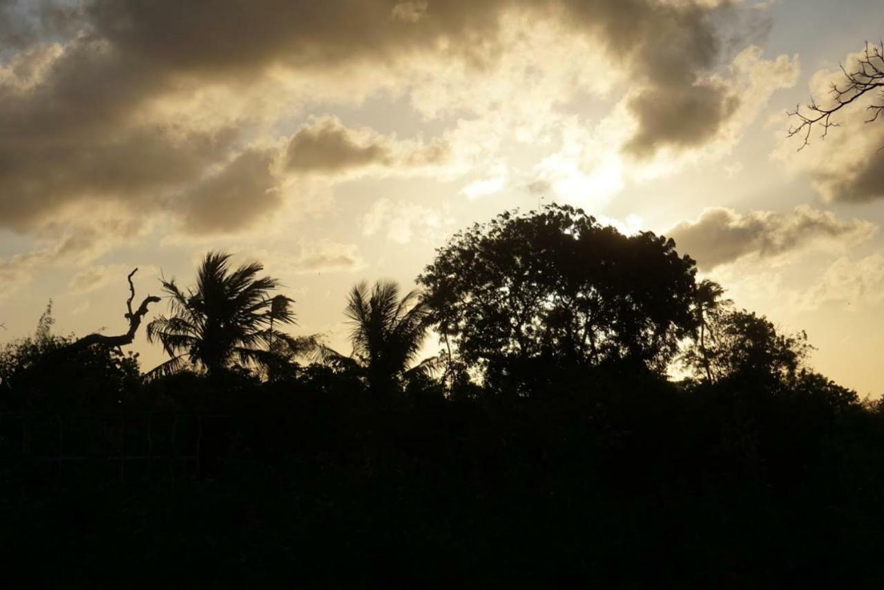 Mida Creek Nature Camp Watamu Exteriér fotografie