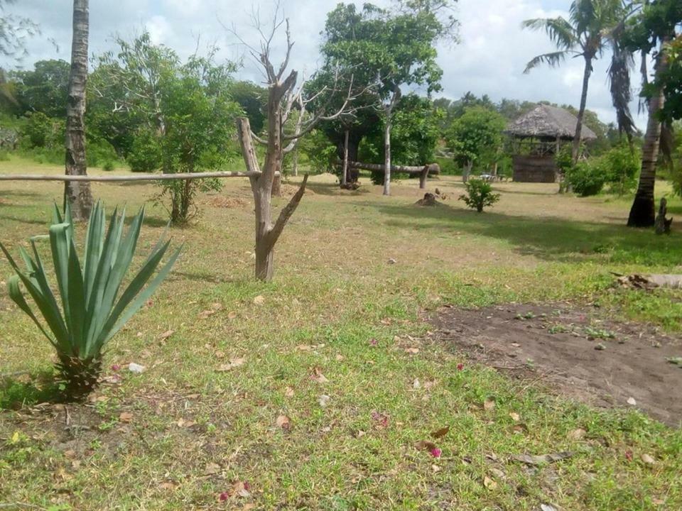 Mida Creek Nature Camp Watamu Exteriér fotografie