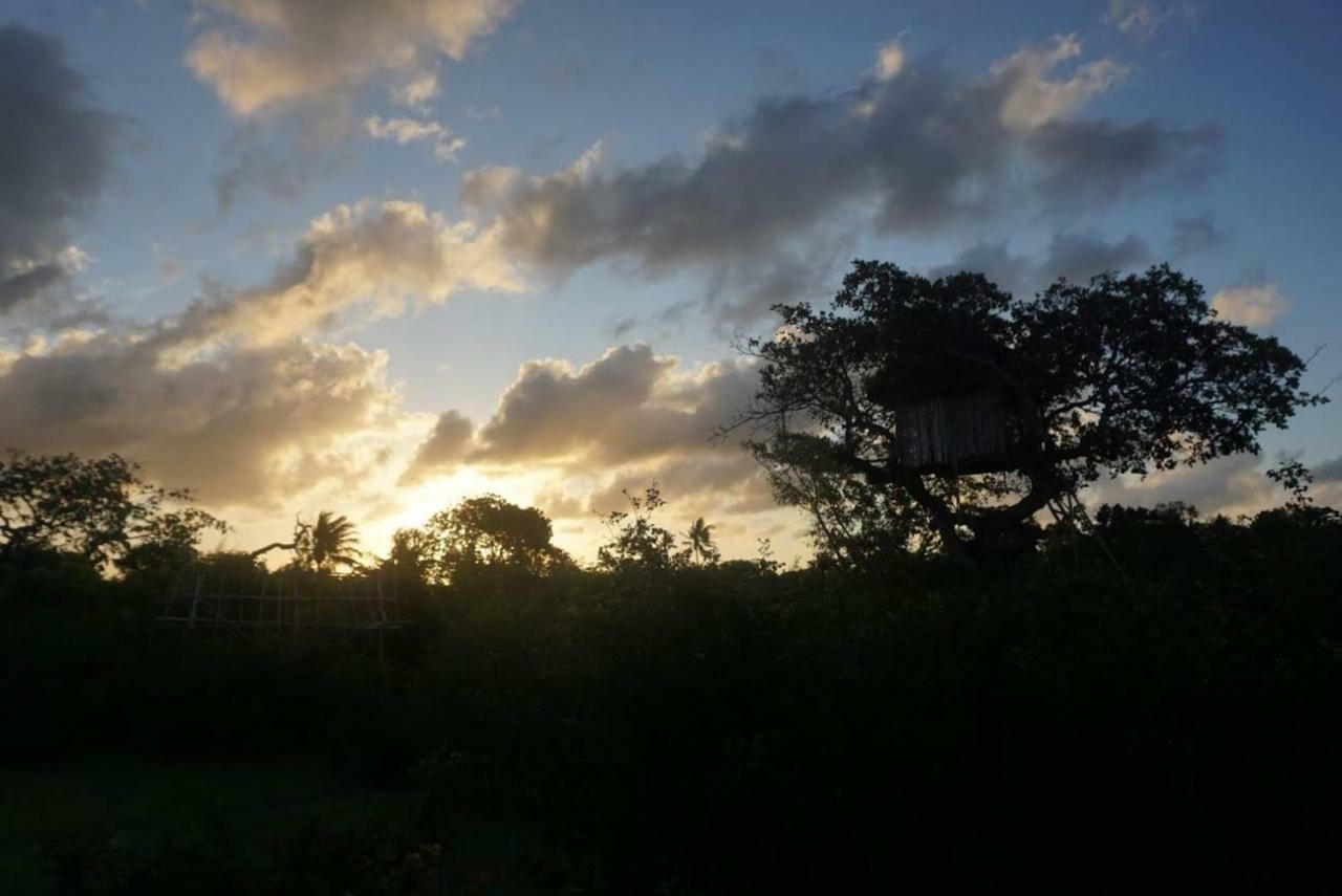 Mida Creek Nature Camp Watamu Exteriér fotografie