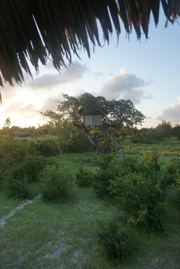 Mida Creek Nature Camp Watamu Exteriér fotografie