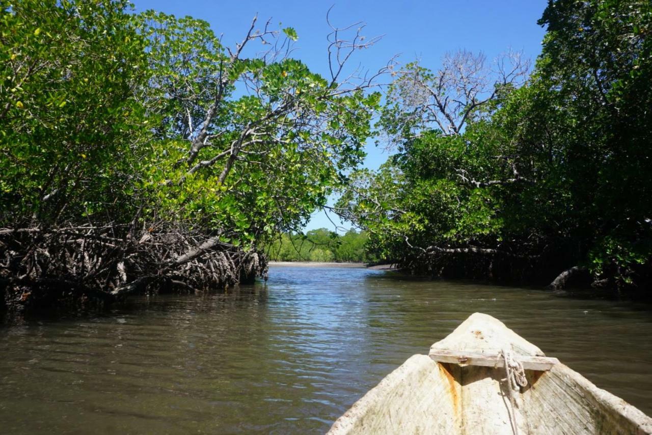 Mida Creek Nature Camp Watamu Exteriér fotografie