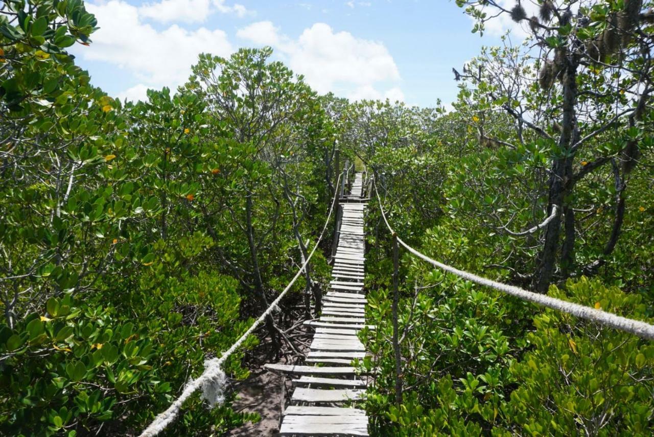 Mida Creek Nature Camp Watamu Exteriér fotografie